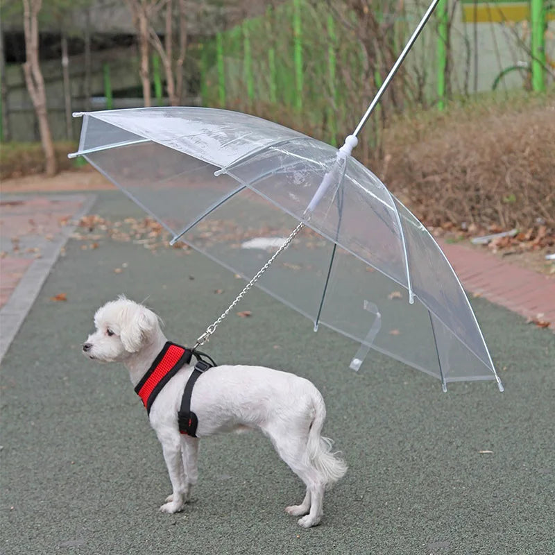 Pet Umbrella