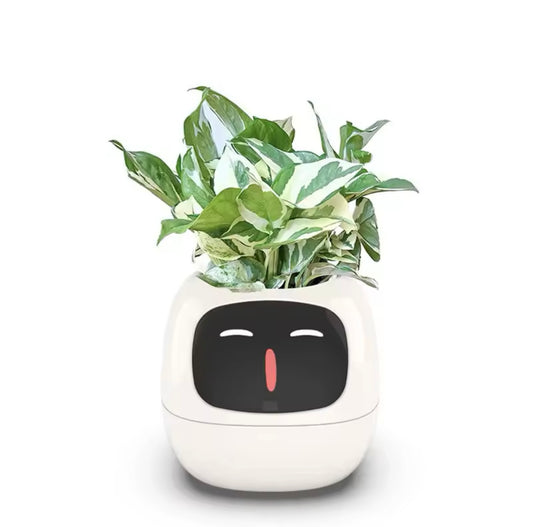 Smart Pot Plant